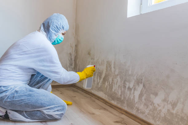 Hvac And Air Duct Mold Remediation inspection of HVAC system in Chincoteague Island